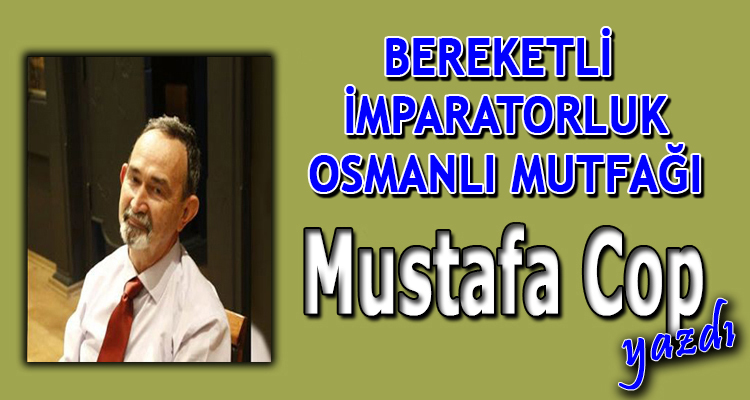 Araştırmacı Yazar Mustafa Cop Yazdı