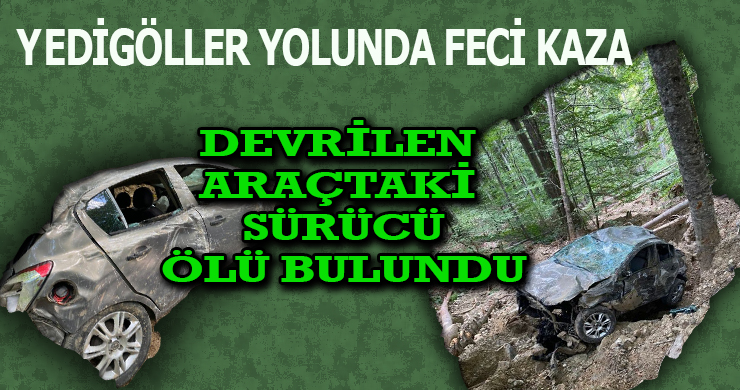 Uçuruma Yuvarlanan Araçta Ölü Bulundu