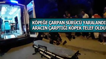 Köpeğe Çarpan Motosiklet Devrildi, Başka Aracın da Çarptığı Hayvan Telef Oldu