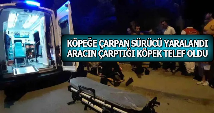 Köpeğe Çarpan Motosiklet Devrildi, Başka Aracın da Çarptığı Hayvan Telef Oldu