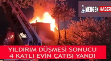 4 Katlı Eve Yıldırım Düştü Çatı Katı Yandı