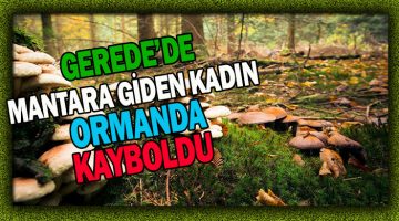 Geredeʼde Mantara Giden Kadın Ormanda Kayboldu