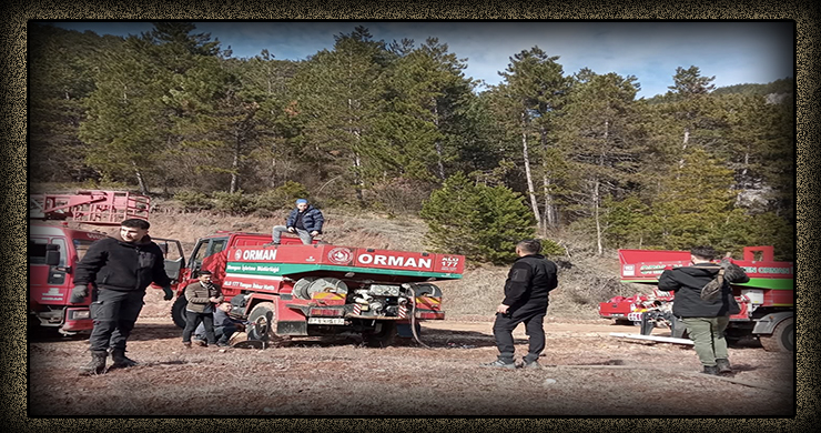 Mengen Şahbazlar’da Örtü Yangını Çıktı