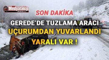 Gerede’de Tuzlama Aracı Uçurumdan Yuvarlandı: